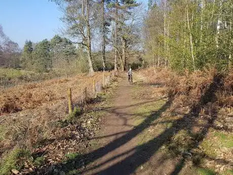 Photo de Harlestone Heath