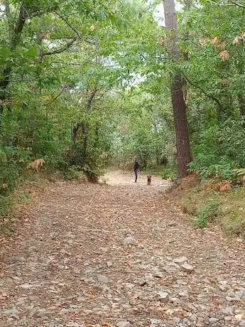 strada panoramica monte Serra