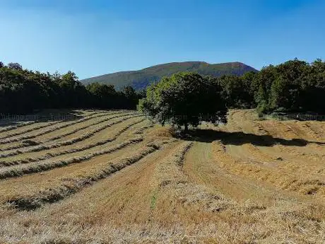 Photo de Collada d'Hostal Roig