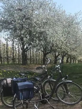 Het Vlierhof