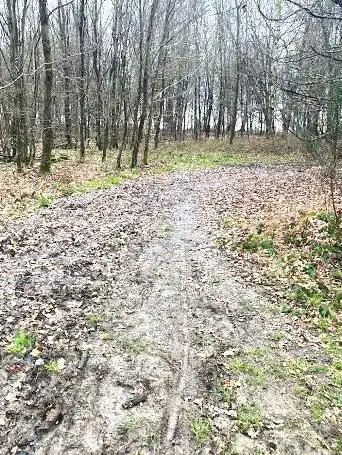 Photo de Chemin des écoliers