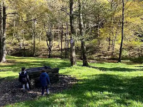 Photo de Aire Des Etourneaux
