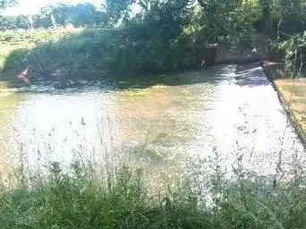 Photo de Le déversoir de les fougerêts