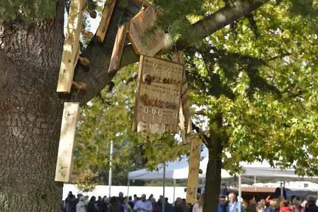 Photo de Feira Do 21 Ourense