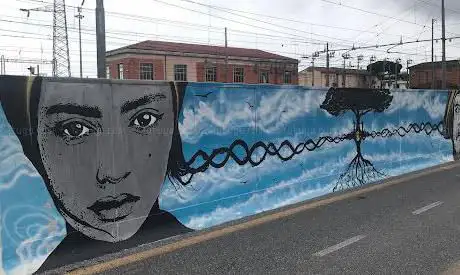 Photo de BINAR10 murales