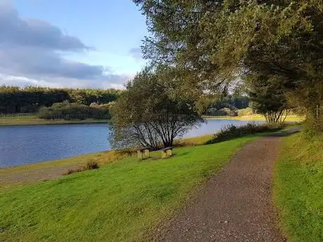 Discover Wistlandpound