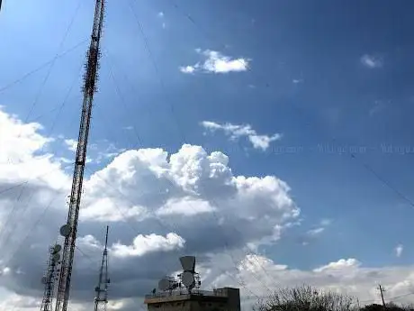 Photo de Parabita DTT