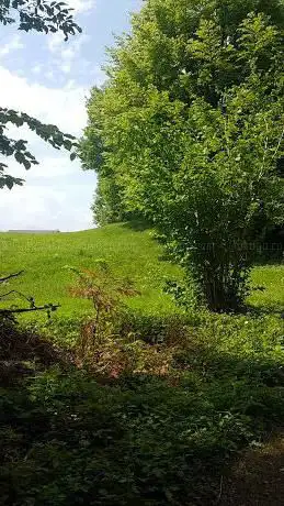Photo de Spazierweg Roterwald