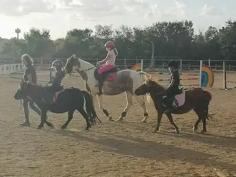 Photo de ASD Ladispoli Equitazione