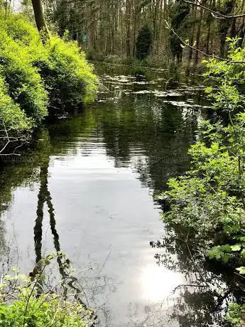 Photo de Welton Springs