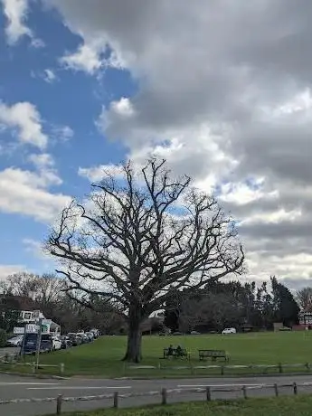 Photo de Tilford Village Green