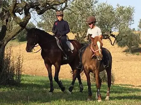 Centro Equestre Il Melo Pescara