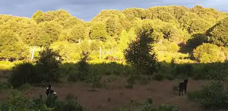 Rifle Range Nature Reserve