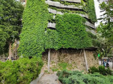 Jardí vertical Tarradellas
