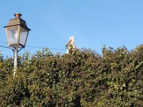 Photo de Aire de pique-nique