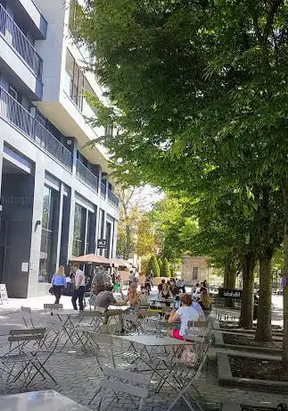 Photo de Arbre de la Paix