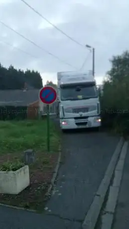 Photo de Les Crins Du Marais