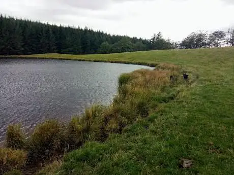 Rhiw Pool