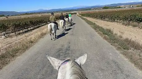 Photo de HÃÂpica El Ventorrillo