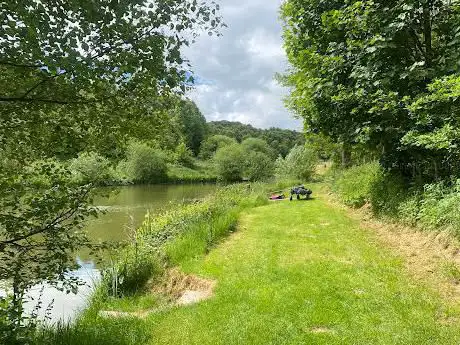 Ravenfield Ponds