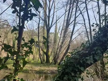 Photo de Miradoiro Aves