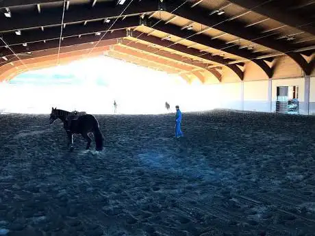 Photo de Scuderia Abati ASD. - scuola di equitazione western