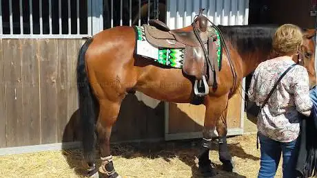 Photo de Centro Equestre Cassia SSDaRL