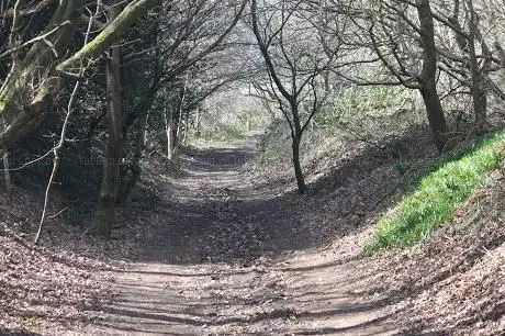 Barr Beacon Quarry
