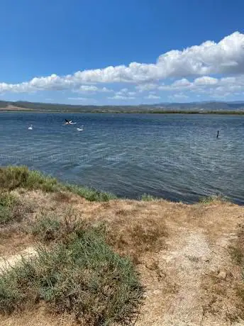 Flamingo-View