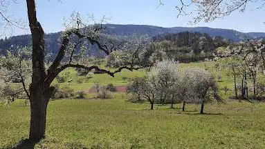 Breitenstein Nature Reserve