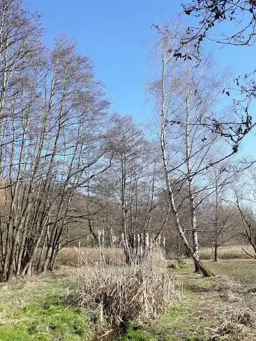 Photo de Réserve du Ru Milhoux