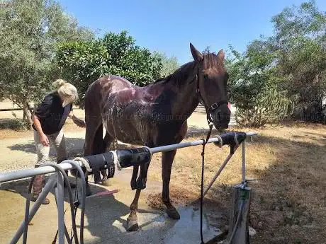 Photo de Jade Equestrian Nerja
