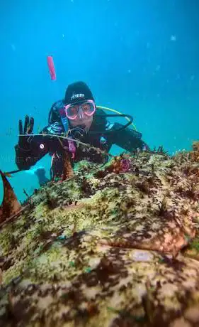 Photo de divertysub escuela de buceo