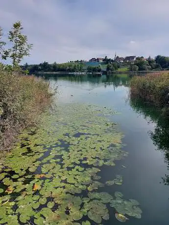 See Pfäffikersee