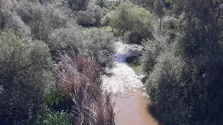 Photo de Guadiana comporta