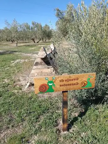 Photo de Olivar de Ireneo