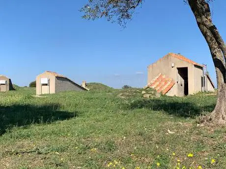 Photo de Monterozzi Tomb of the Deer Hunt - Etrurian Necropolis