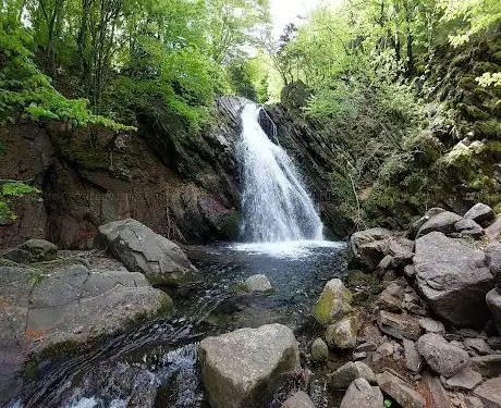 Photo de Vivaio Vezzosa