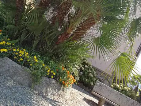 Parco IlSandro