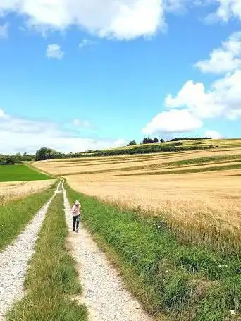 Les Monts de Sery