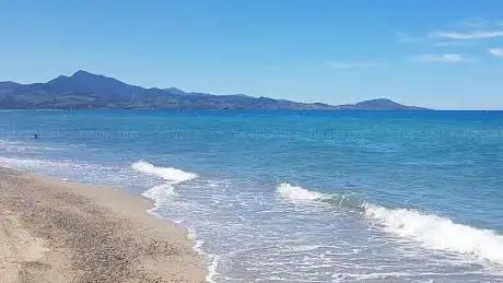 Photo de Plage de la réserve naturelle du Mas Larrieu
