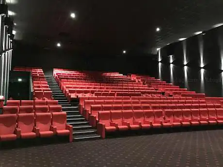 Cinéma Majestic France Le Volontaire Remiremont