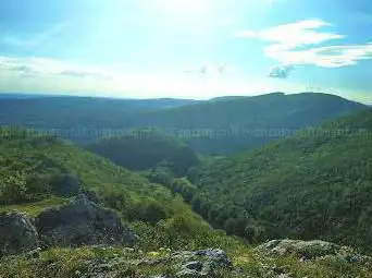 Réserve naturelle régionale du Crêt des Roches