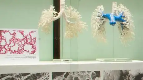 Anatomische Sammlung