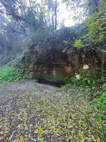 Fuente del Lerez