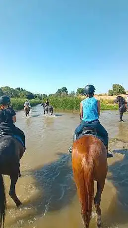 Photo de SJR Equitación