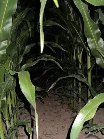 Photo de Escape Game Farmer