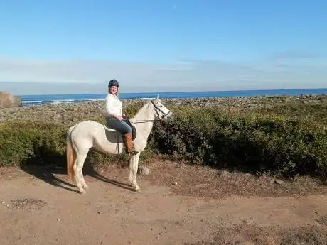 Horse Adventure Tours