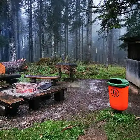 Photo de Feuerstelle Waldhütte