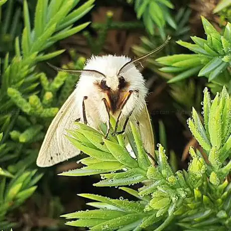 Tadorna Wildlife Hub
